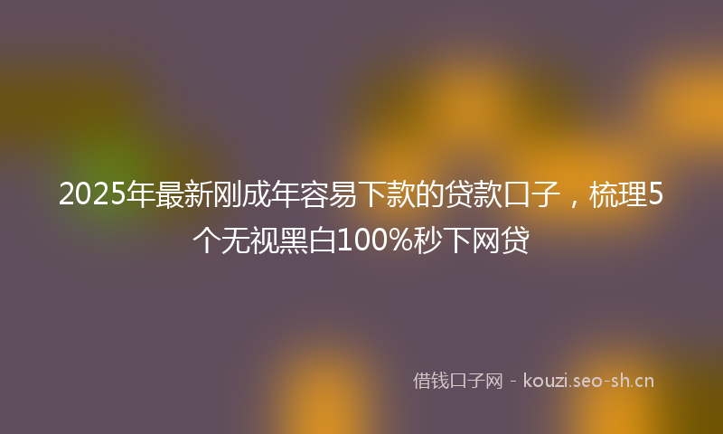 2025年最新刚成年容易下款的贷款口子，梳理5个无视黑白100%秒下网贷