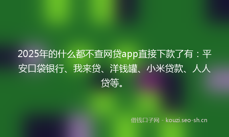 2025年的什么都不查网贷app直接下款了有:平安口袋银行、我来贷、洋钱罐、小米贷款、人人贷等。