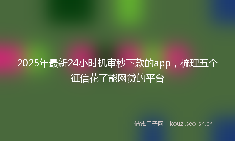 2025年最新24小时机审秒下款的app，梳理五个征信花了能网贷的平台