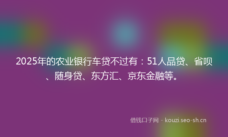 2025年的农业银行车贷不过有：51人品贷、省呗、随身贷、东方汇、京东金融等。