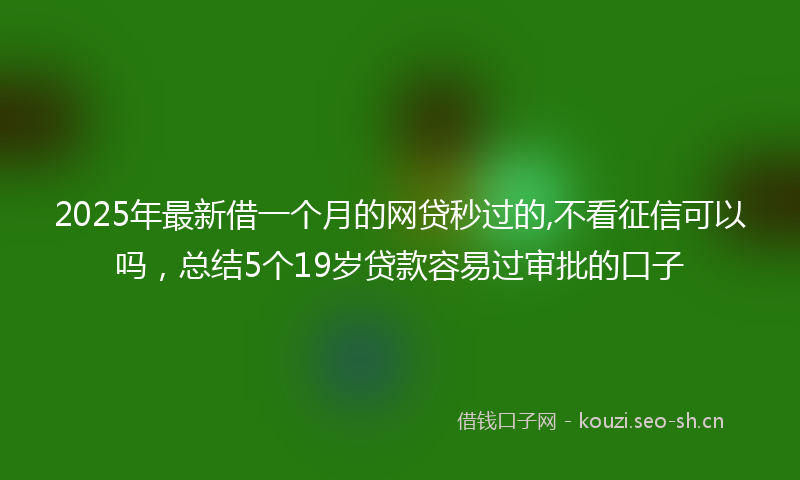 2025年最新借一个月的网贷秒过的,不看征信可以吗，总结5个19岁贷款容易过审批的口子