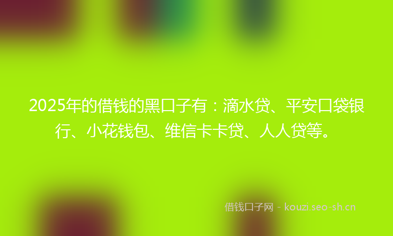 2025年的借钱的黑口子有：滴水贷、平安口袋银行、小花钱包、维信卡卡贷、人人贷等。