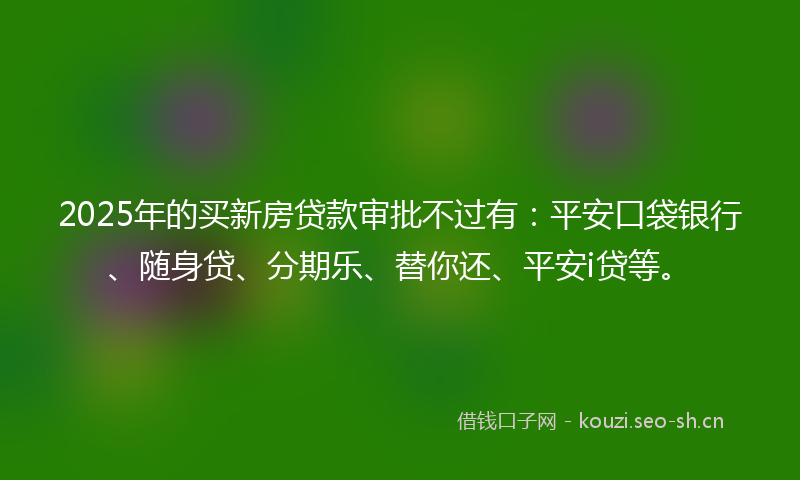 2025年的买新房贷款审批不过有：平安口袋银行、随身贷、分期乐、替你还、平安i贷等。