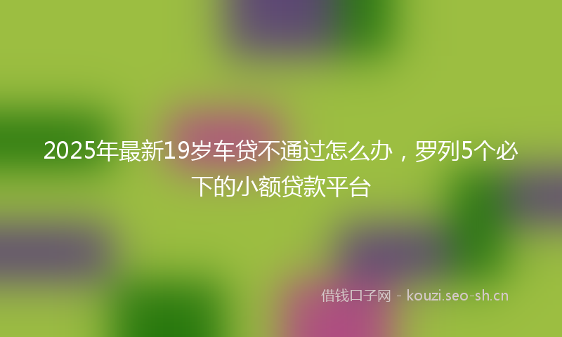 2025年最新19岁车贷不通过怎么办，罗列5个必下的小额贷款平台