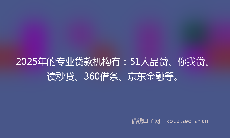 2025年的专业贷款机构有：51人品贷、你我贷、读秒贷、360借条、京东金融等。
