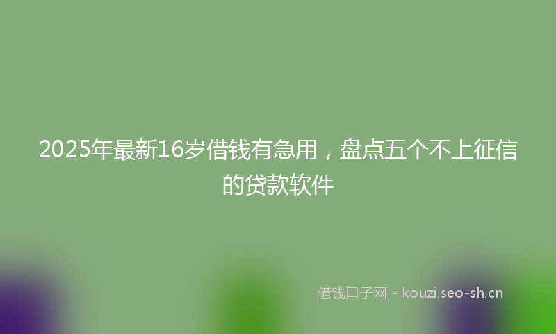 2025年最新16岁借钱有急用,盘点五个不上征信的贷款软件