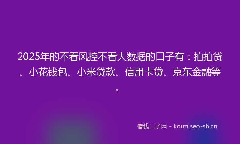 2025年的不看风控不看大数据的口子有：拍拍贷、小花钱包、小米贷款、信用卡贷、京东金融等。