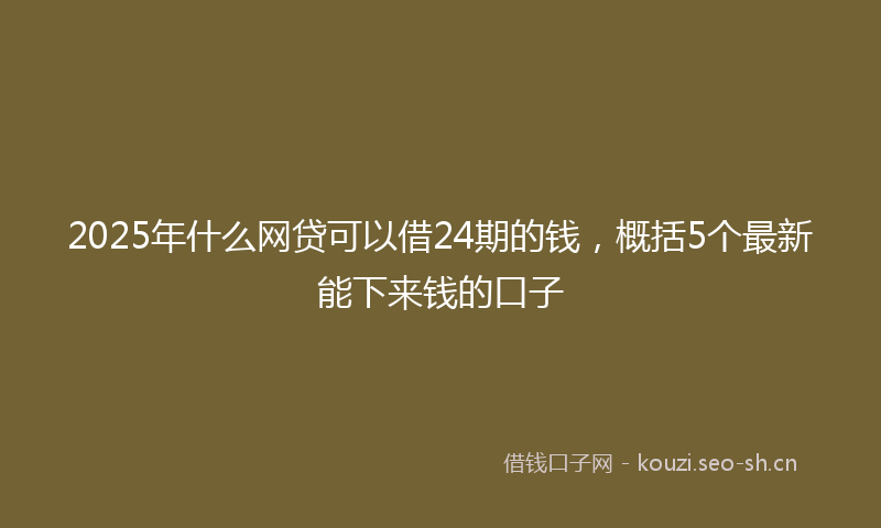 2025年什么网贷可以借24期的钱，概括5个最新能下来钱的口子