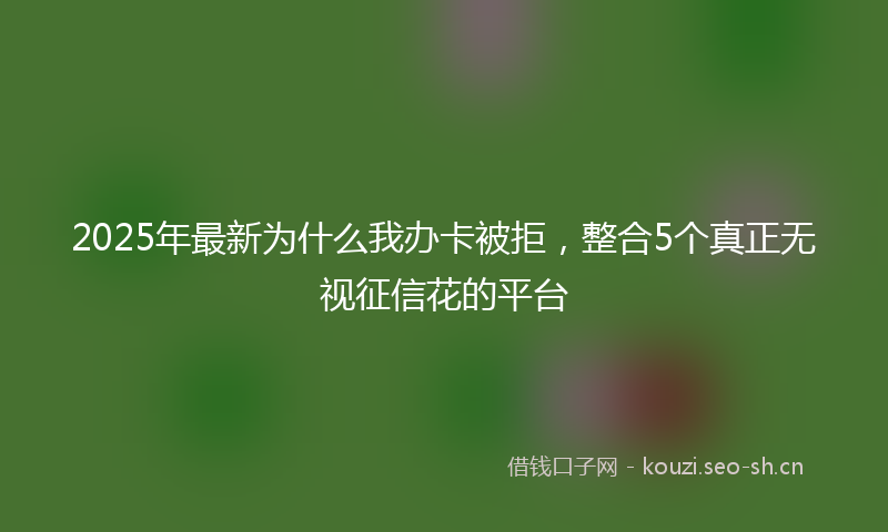 2025年最新为什么我办卡被拒，整合5个真正无视征信花的平台