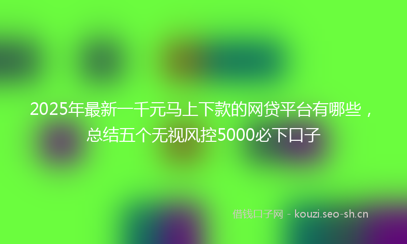 2025年最新一千元马上下款的网贷平台有哪些，总结五个无视风控5000必下口子