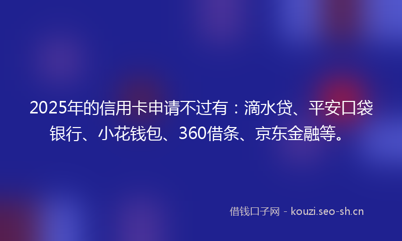 2025年的信用卡申请不过有：滴水贷、平安口袋银行、小花钱包、360借条、京东金融等。