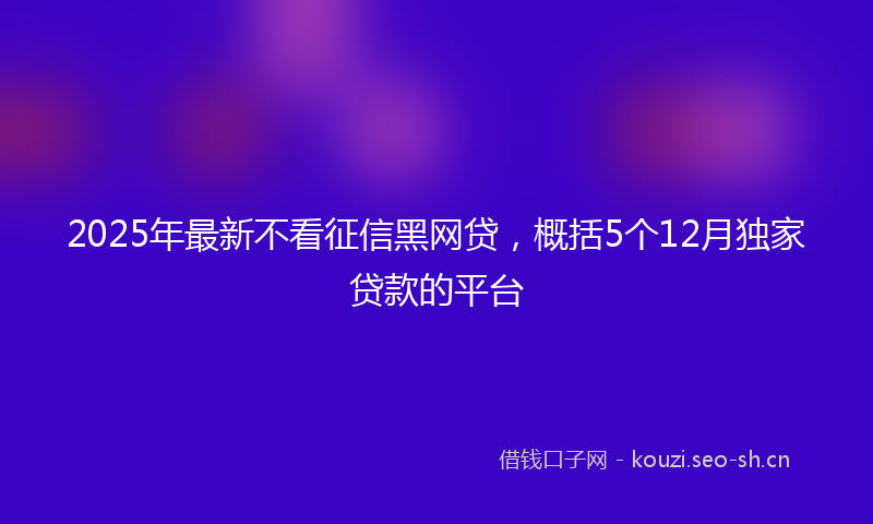 2025年最新不看征信黑网贷，概括5个12月独家贷款的平台