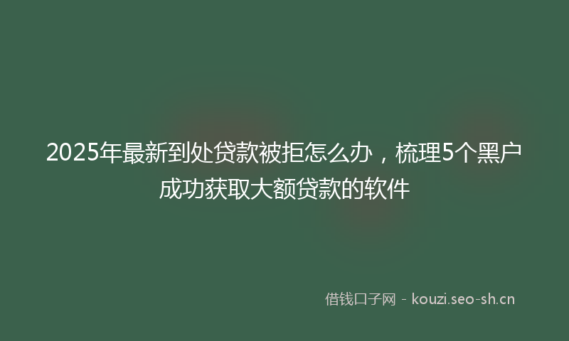 2025年最新到处贷款被拒怎么办，梳理5个黑户成功获取大额贷款的软件