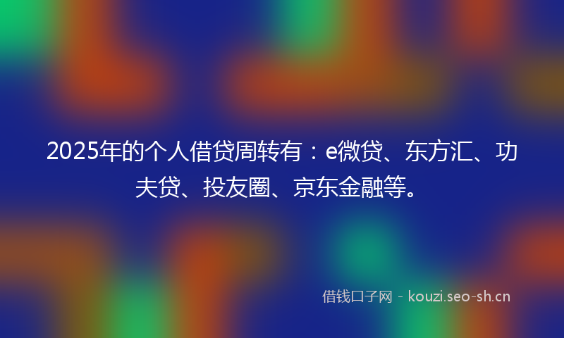 2025年的个人借贷周转有：e微贷、东方汇、功夫贷、投友圈、京东金融等。