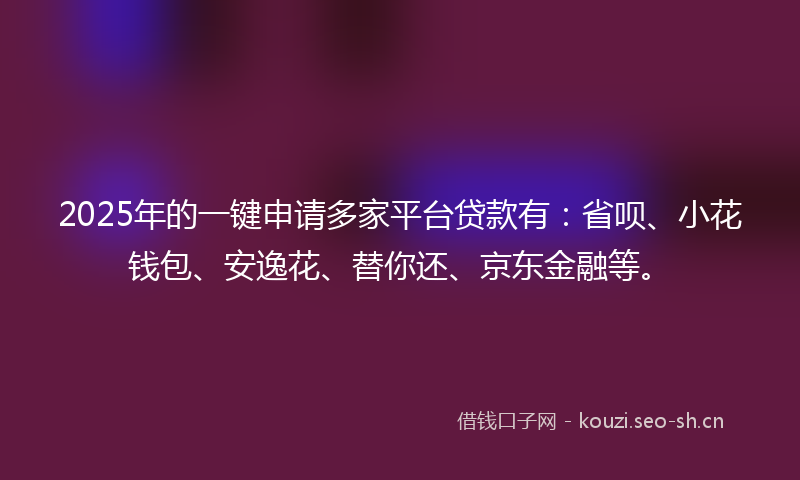 2025年的一键申请多家平台贷款有：省呗、小花钱包、安逸花、替你还、京东金融等。