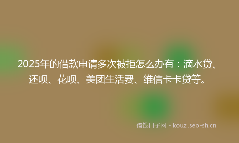 2025年的借款申请多次被拒怎么办有：滴水贷、还呗、花呗、美团生活费、维信卡卡贷等。