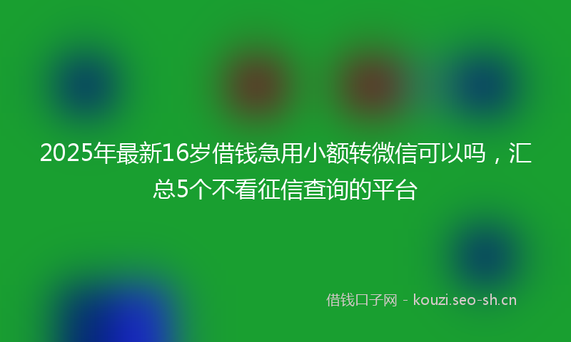 2025年最新16岁借钱急用小额转微信可以吗，汇总5个不看征信查询的平台