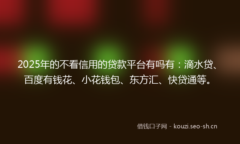2025年的不看信用的贷款平台有吗有：滴水贷、百度有钱花、小花钱包、东方汇、快贷通等。