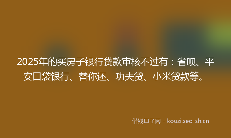 2025年的买房子银行贷款审核不过有：省呗、平安口袋银行、替你还、功夫贷、小米贷款等。