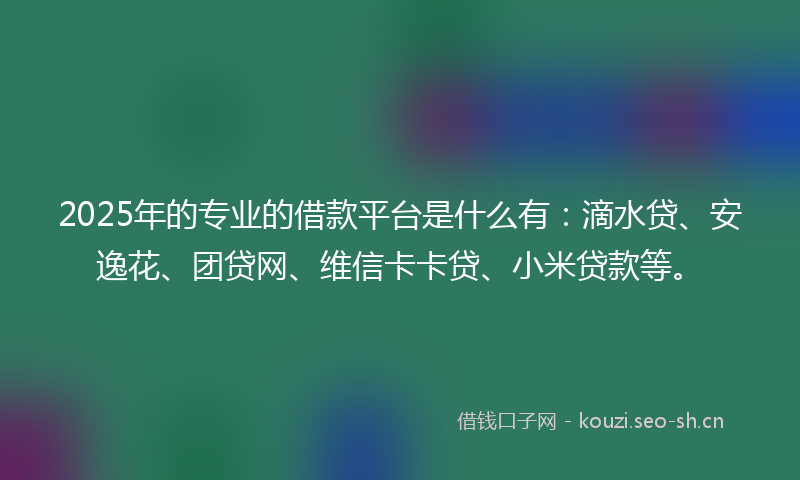 2025年的专业的借款平台是什么有：滴水贷、安逸花、团贷网、维信卡卡贷、小米贷款等。