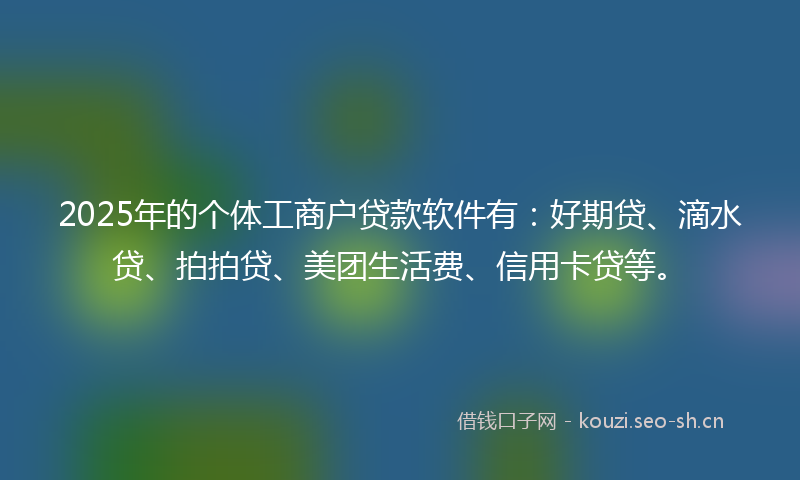 2025年的个体工商户贷款软件有：好期贷、滴水贷、拍拍贷、美团生活费、信用卡贷等。