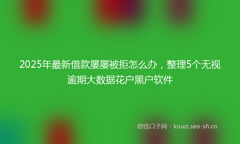 2025年最新借款屡屡被拒怎么办，整理5个无视逾期大数据花户黑户软件