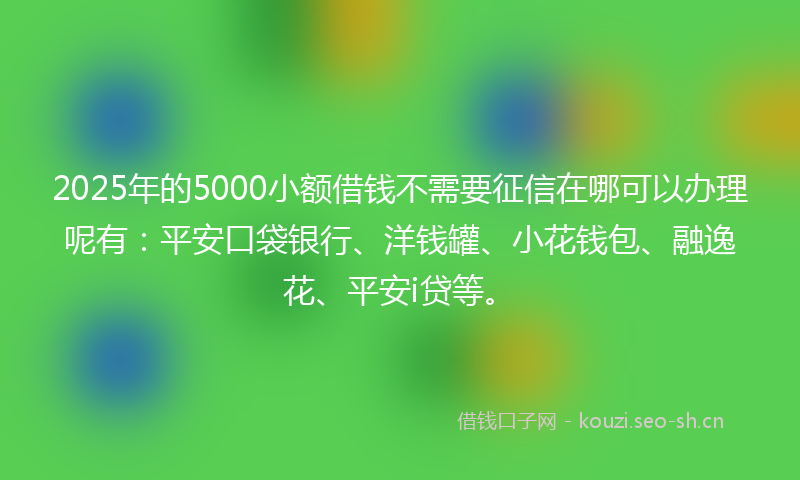 2025年的5000小额借钱不需要征信在哪可以办理呢有：平安口袋银行、洋钱罐、小花钱包、融逸花、平安i贷等。