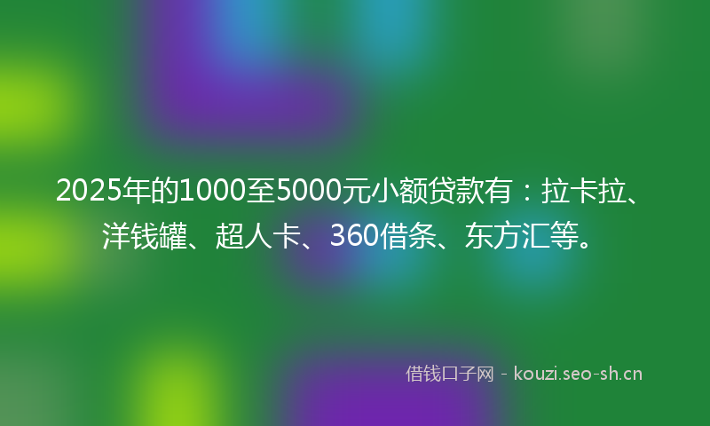 2025年的1000至5000元小额贷款有:拉卡拉、洋钱罐、超人卡、360借条、东方汇等。