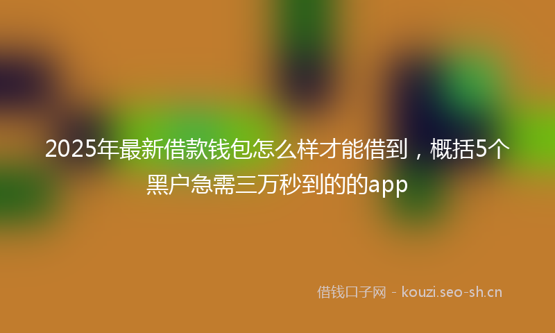 2025年最新借款钱包怎么样才能借到,概括5个黑户急需三万秒到的的app