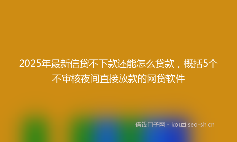 2025年最新信贷不下款还能怎么贷款，概括5个不审核夜间直接放款的网贷软件