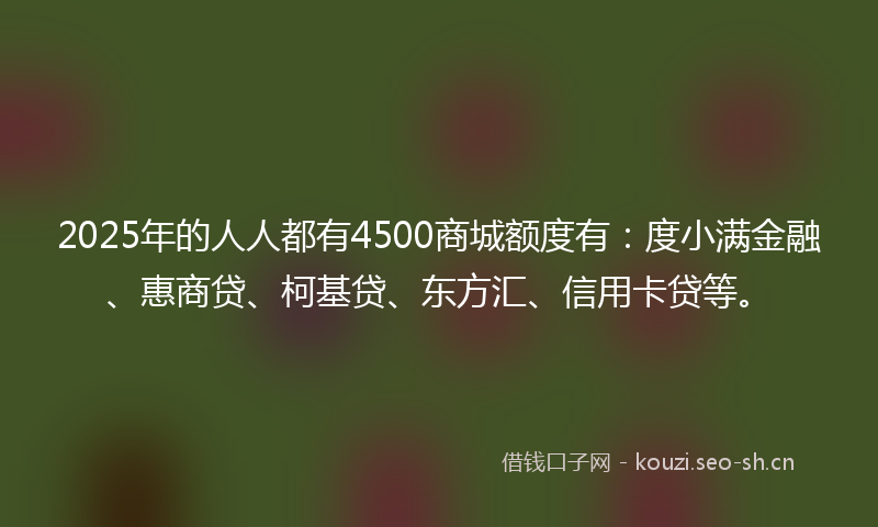 2025年的人人都有4500商城额度有：度小满金融、惠商贷、柯基贷、东方汇、信用卡贷等。