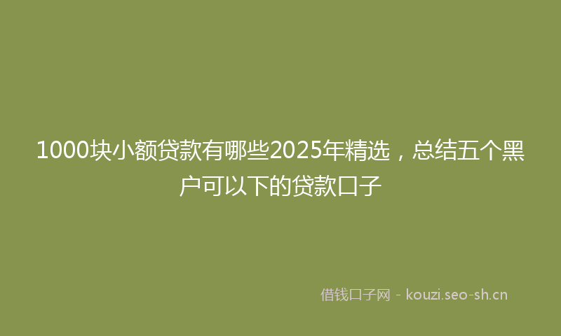 1000块小额贷款有哪些2025年精选，总结五个黑户可以下的贷款口子