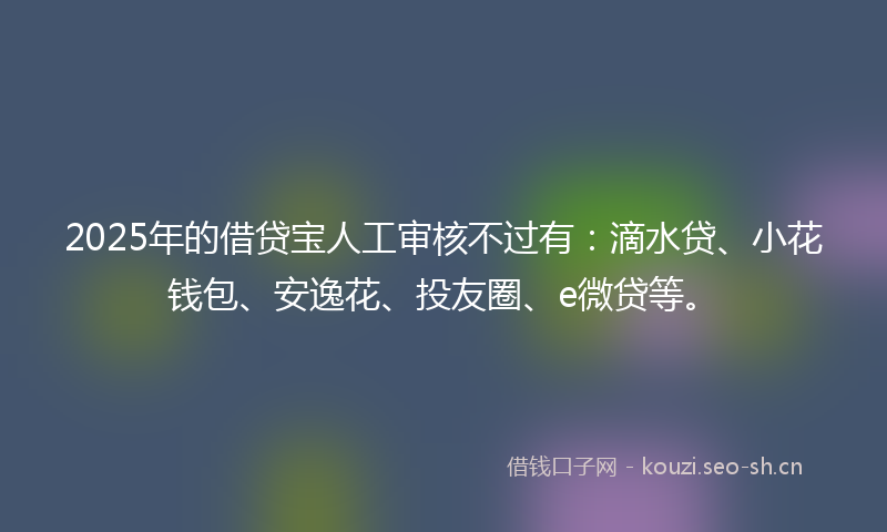 2025年的借贷宝人工审核不过有：滴水贷、小花钱包、安逸花、投友圈、e微贷等。