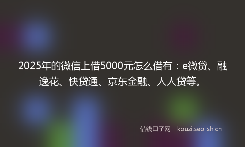 2025年的微信上借5000元怎么借有：e微贷、融逸花、快贷通、京东金融、人人贷等。