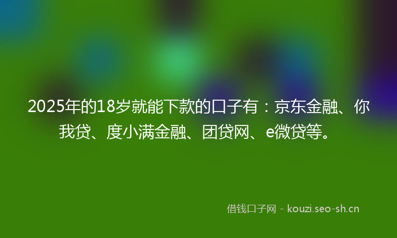 2025年的18岁就能下款的口子有：京东金融、你我贷、度小满金融、团贷网、e微贷等。
