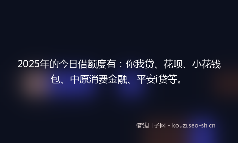 2025年的今日借额度有：你我贷、花呗、小花钱包、中原消费金融、平安i贷等。