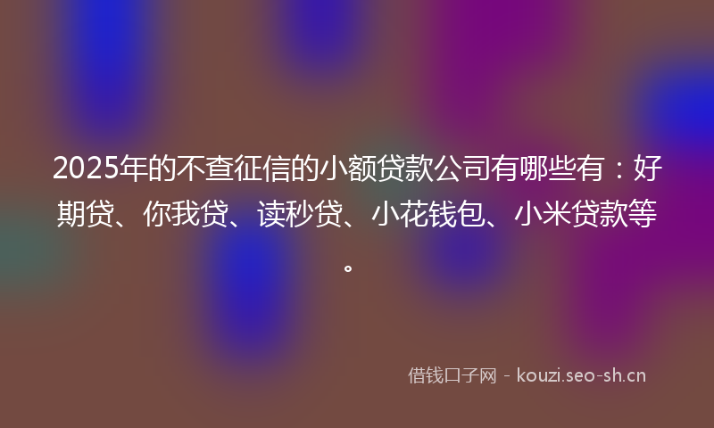 2025年的不查征信的小额贷款公司有哪些有：好期贷、你我贷、读秒贷、小花钱包、小米贷款等。