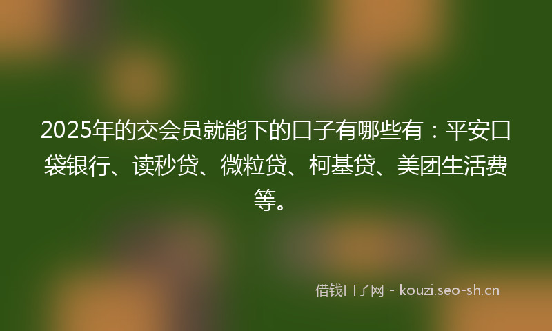 2025年的交会员就能下的口子有哪些有：平安口袋银行、读秒贷、微粒贷、柯基贷、美团生活费等。