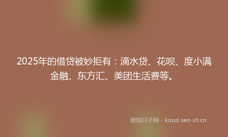 2025年的借贷被妙拒有:滴水贷、花呗、度小满金融、东方汇、美团生活费等。