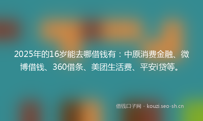 2025年的16岁能去哪借钱有：中原消费金融、微博借钱、360借条、美团生活费、平安i贷等。