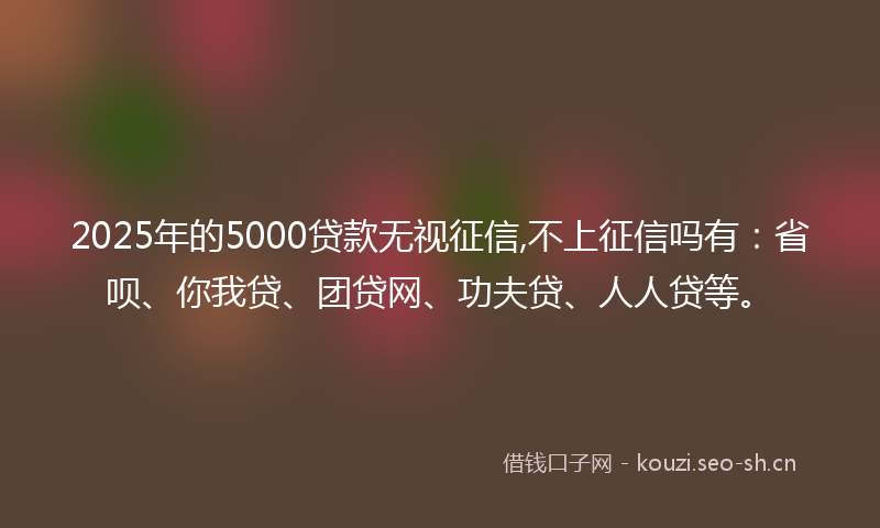 2025年的5000贷款无视征信,不上征信吗有：省呗、你我贷、团贷网、功夫贷、人人贷等。