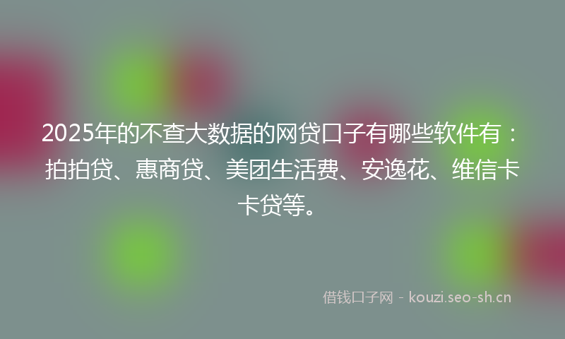 2025年的不查大数据的网贷口子有哪些软件有：拍拍贷、惠商贷、美团生活费、安逸花、维信卡卡贷等。