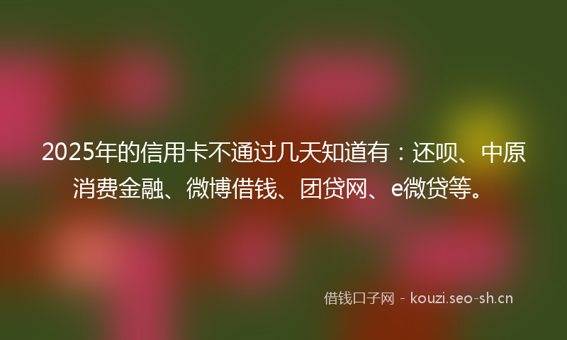 2025年的信用卡不通过几天知道有：还呗、中原消费金融、微博借钱、团贷网、e微贷等。