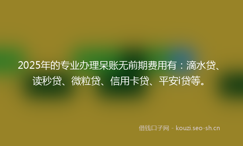 2025年的专业办理呆账无前期费用有：滴水贷、读秒贷、微粒贷、信用卡贷、平安i贷等。