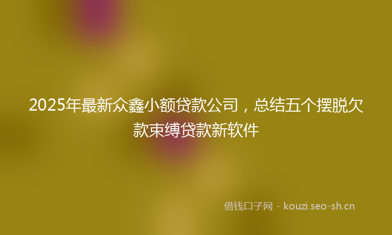 2025年最新众鑫小额贷款公司，总结五个摆脱欠款束缚贷款新软件