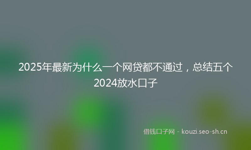 2025年最新为什么一个网贷都不通过，总结五个2024放水口子