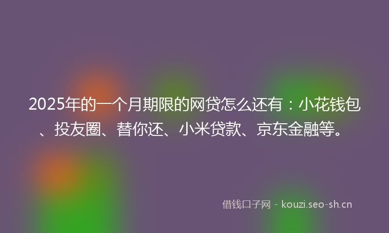 2025年的一个月期限的网贷怎么还有：小花钱包、投友圈、替你还、小米贷款、京东金融等。