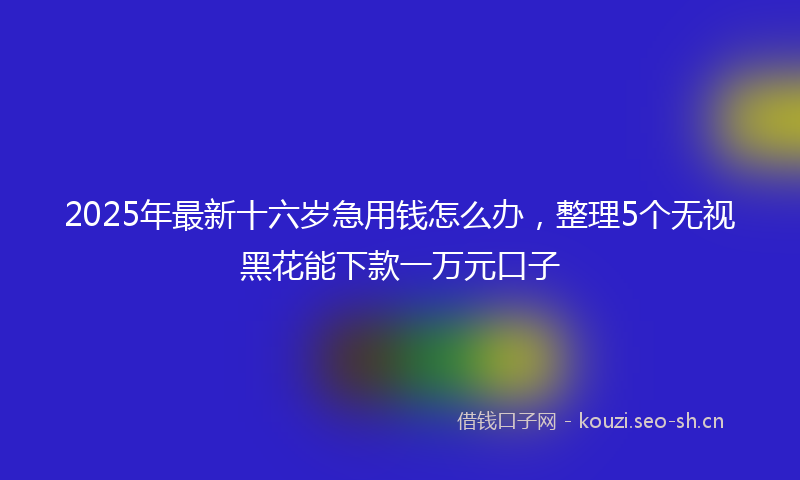 2025年最新十六岁急用钱怎么办，整理5个无视黑花能下款一万元口子