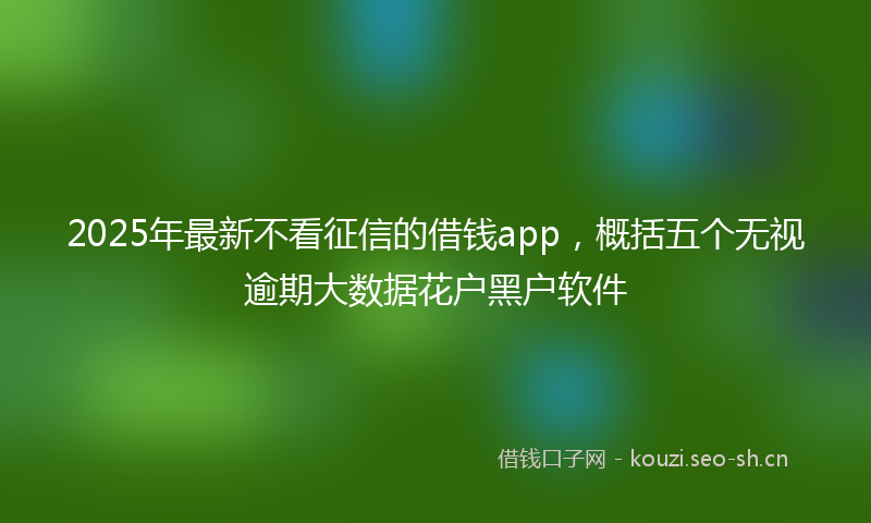 2025年最新不看征信的借钱app,概括五个无视逾期大数据花户黑户软件