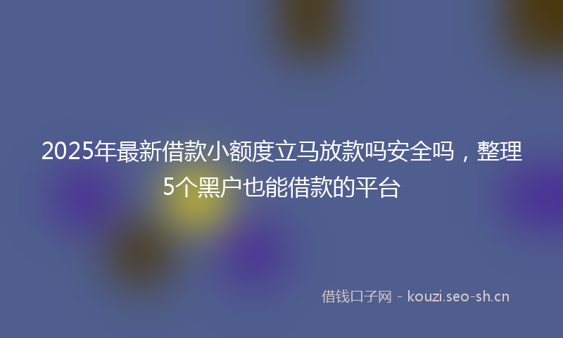 2025年最新借款小额度立马放款吗安全吗，整理5个黑户也能借款的平台